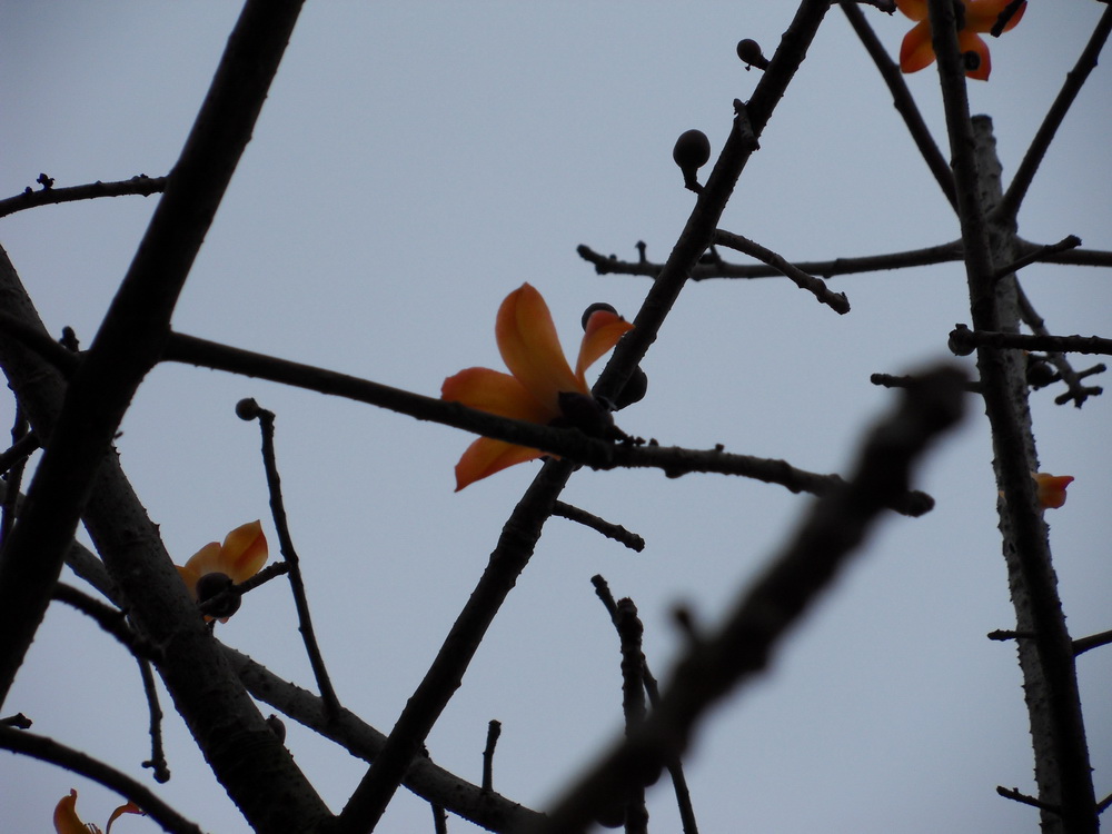 SDC10759.jpg