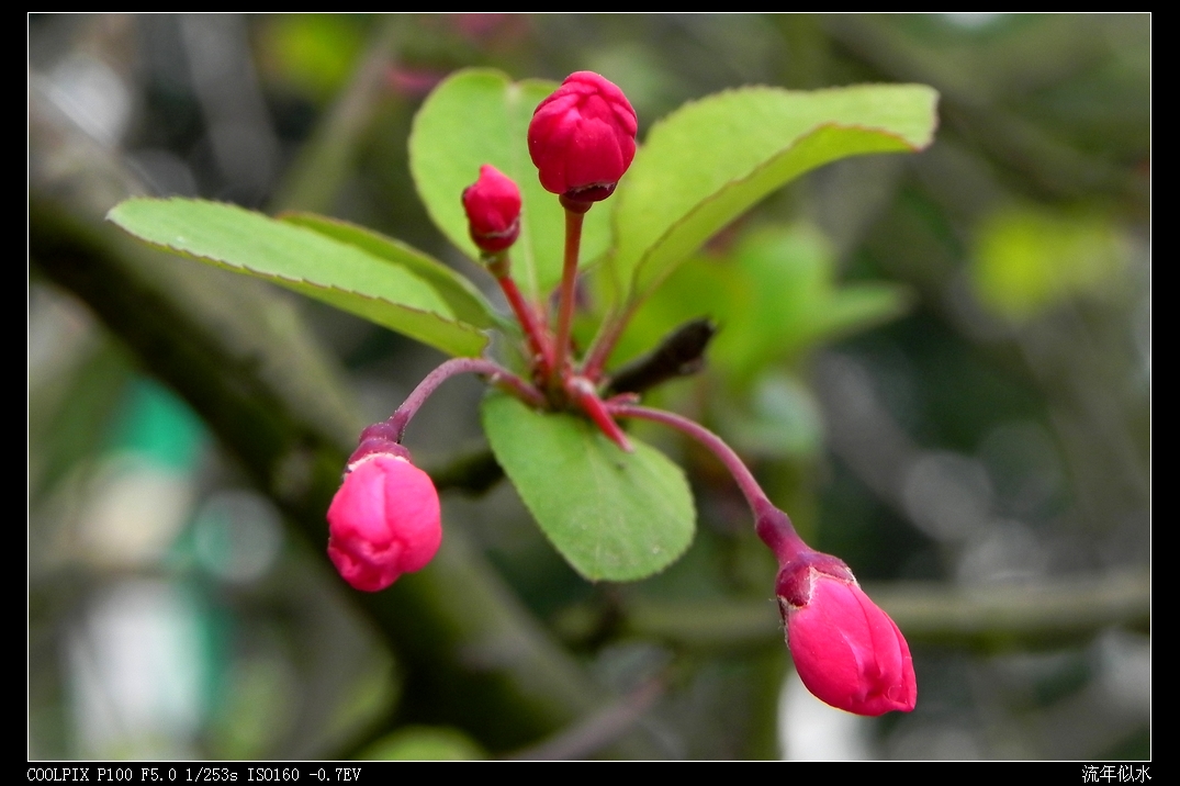 DSCN4194.JPG