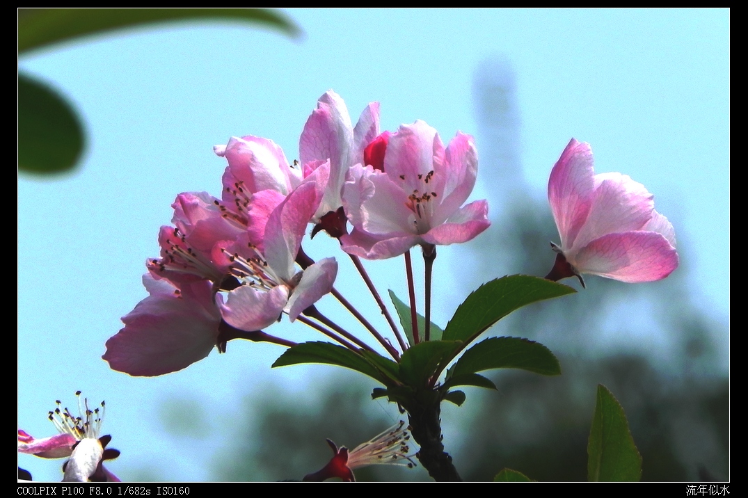 DSCN4838.JPG