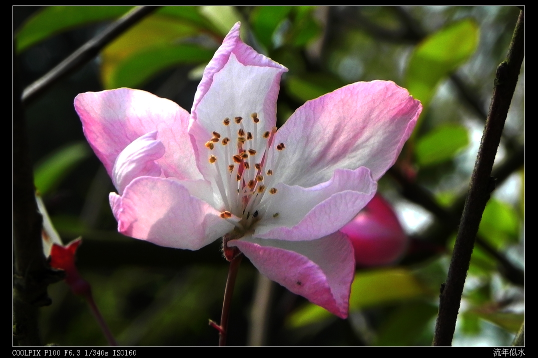 DSCN4840.JPG