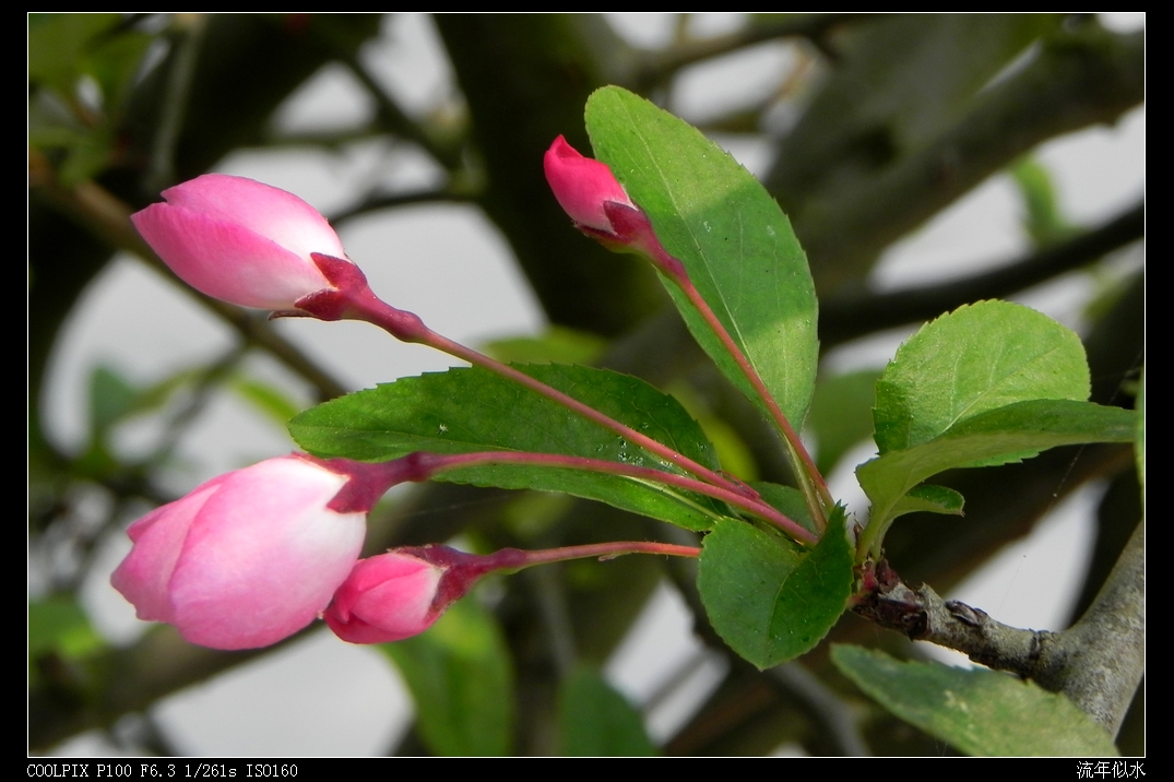 DSCN4844.JPG