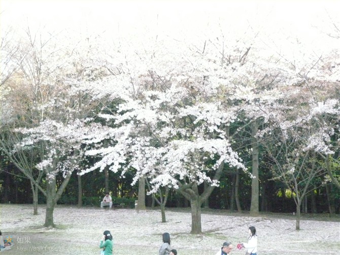 dde1e15ccddc2c6efaf2c0ba.jpg