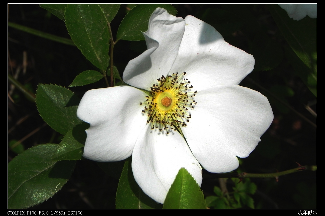 DSCN5162.JPG