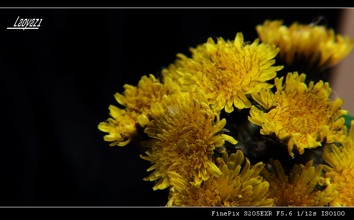 DSCF8641.jpg