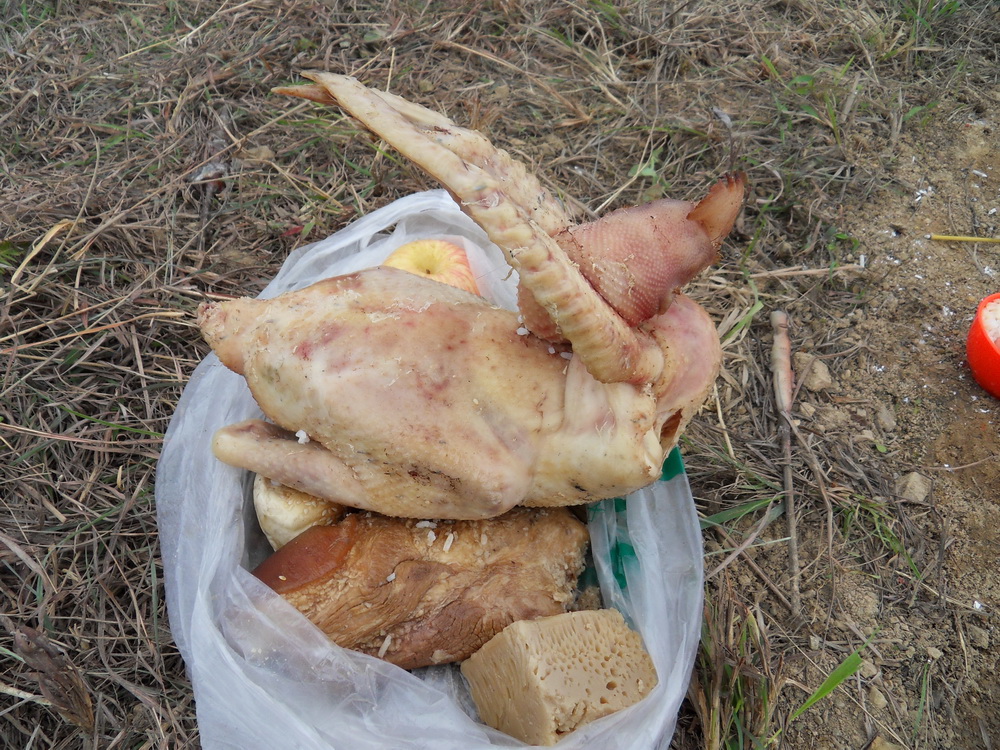 SDC10390.jpg