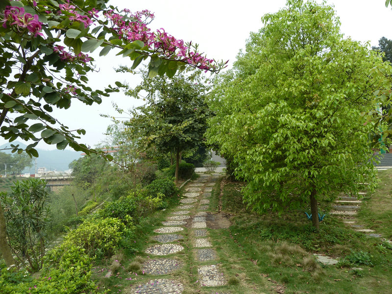 P1010883.JPG