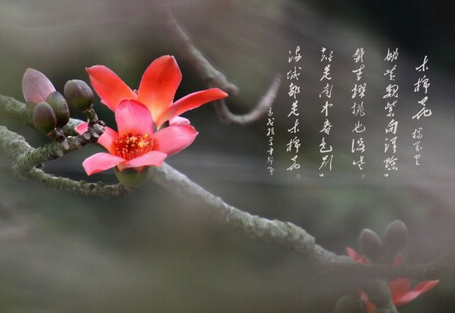 IMG_7262.jpg