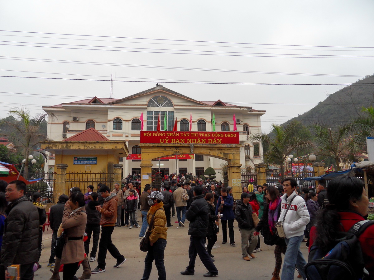 SDC10101.jpg