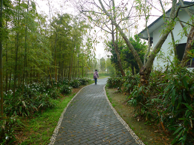 P1090147.JPG