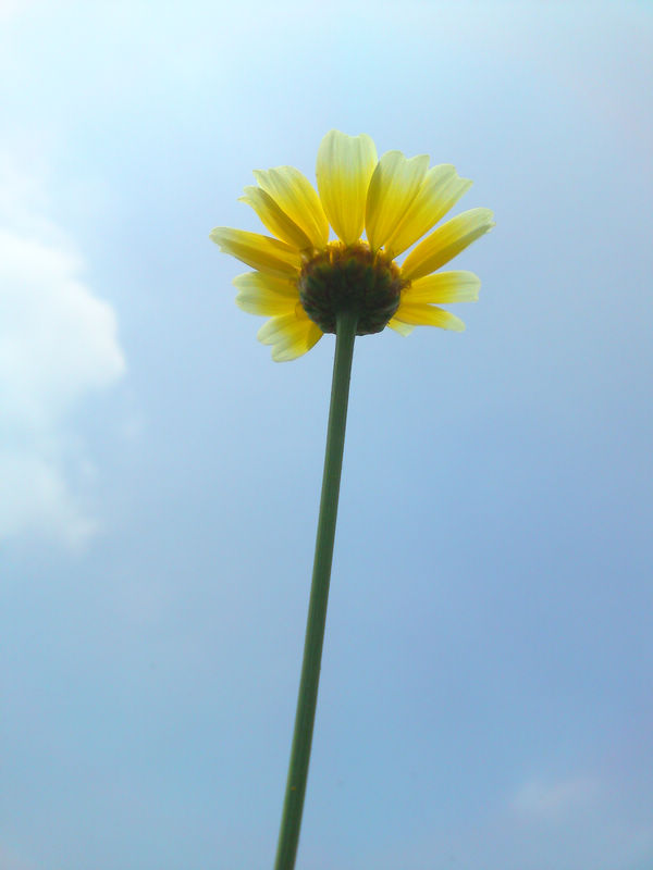 DSC01440.jpg