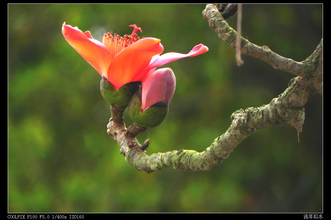 DSCN5505.JPG