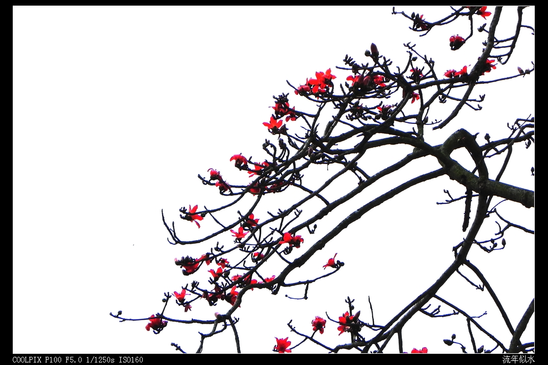 DSCN5519.JPG