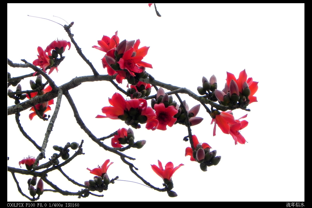 DSCN5533.JPG