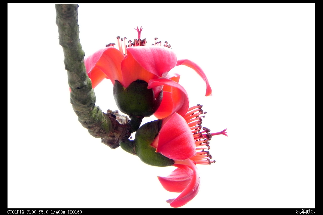 DSCN5556.JPG