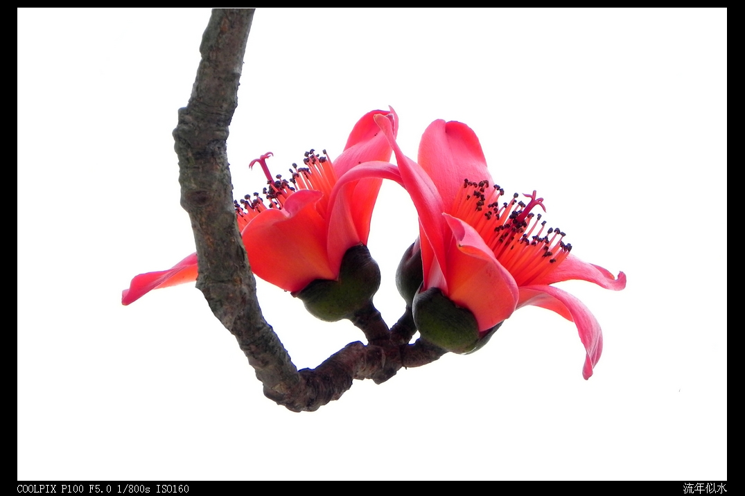 DSCN5560.JPG