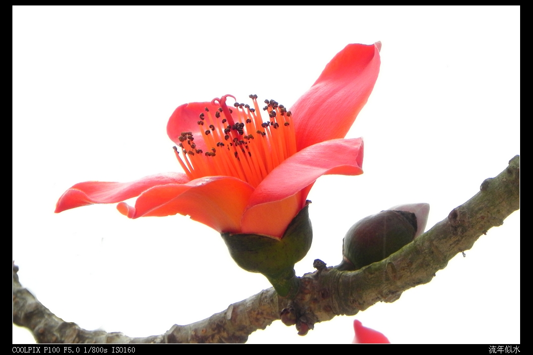 DSCN5562.JPG