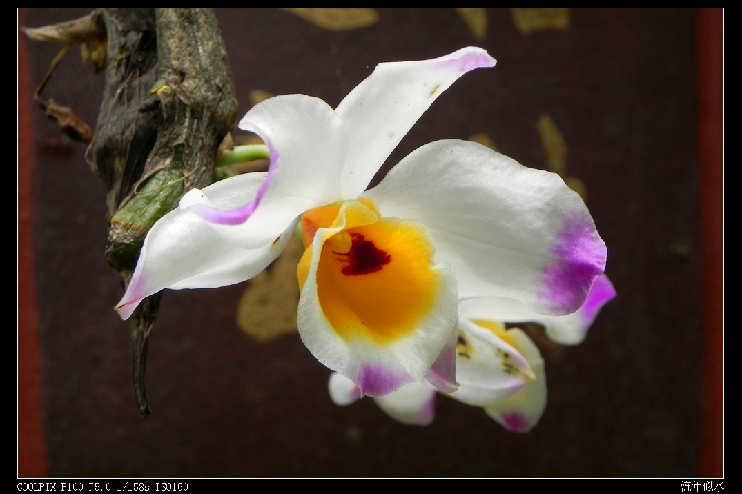 DSCN5450.JPG