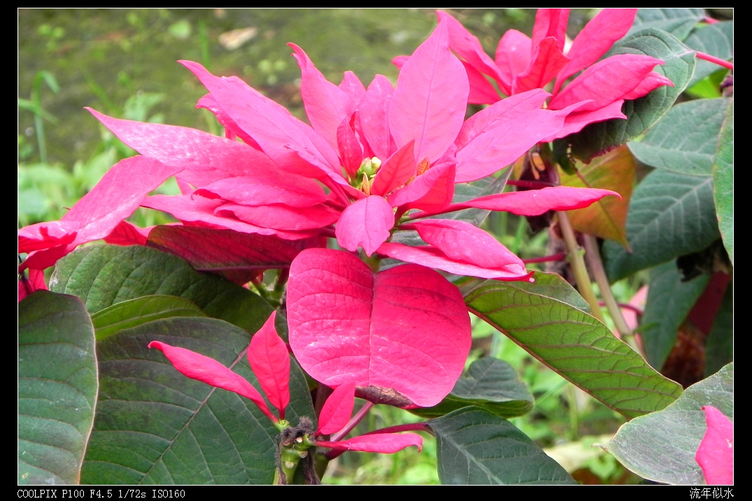 DSCN5454.JPG