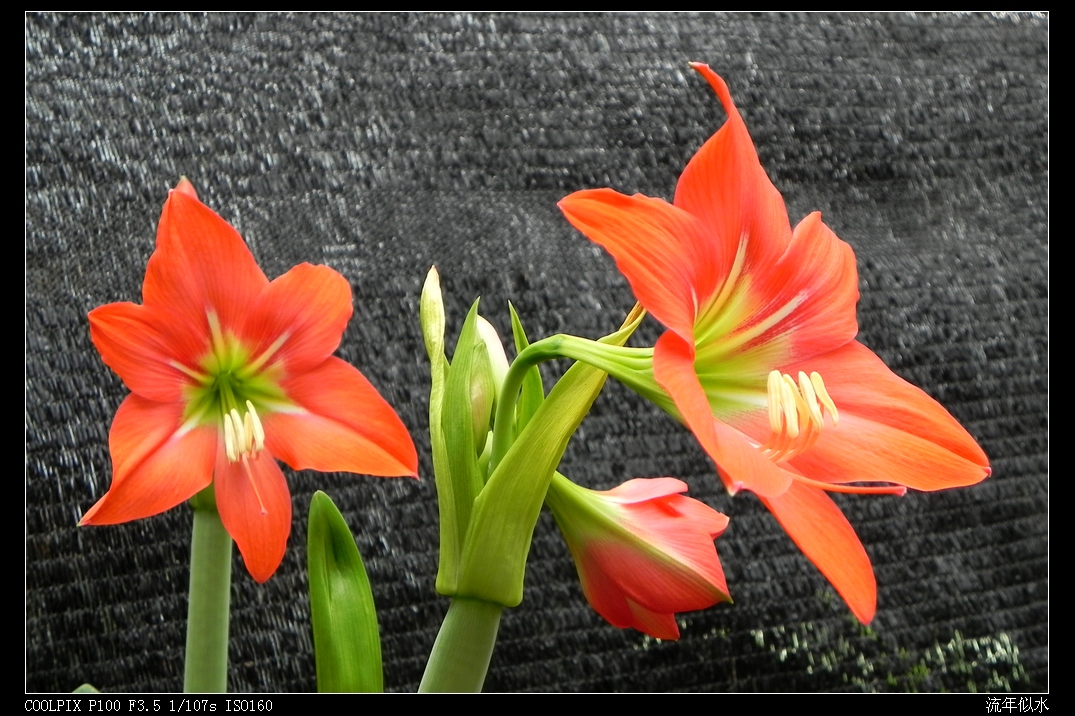 DSCN5458.JPG