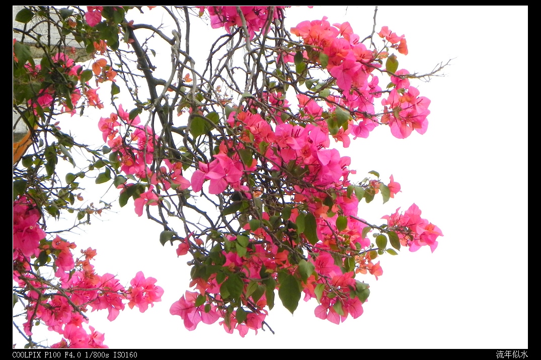 DSCN5574.JPG