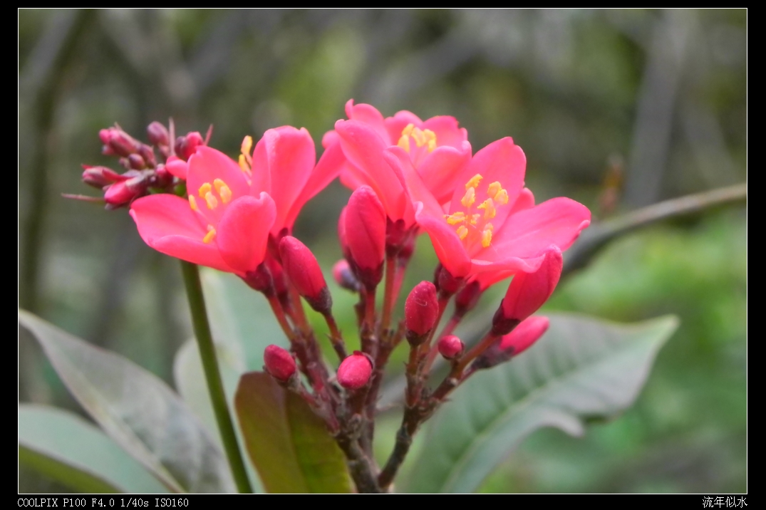 DSCN5618.JPG