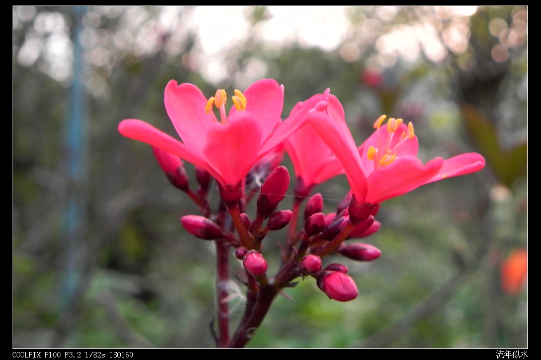 DSCN5619.JPG