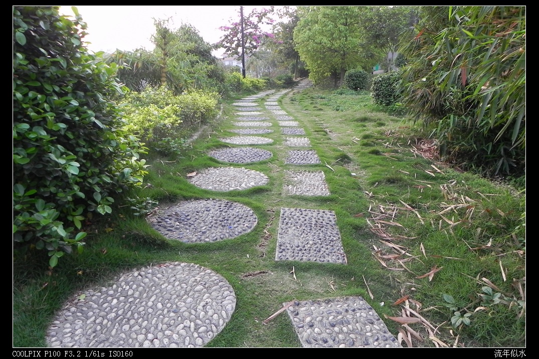 DSCN5653.JPG