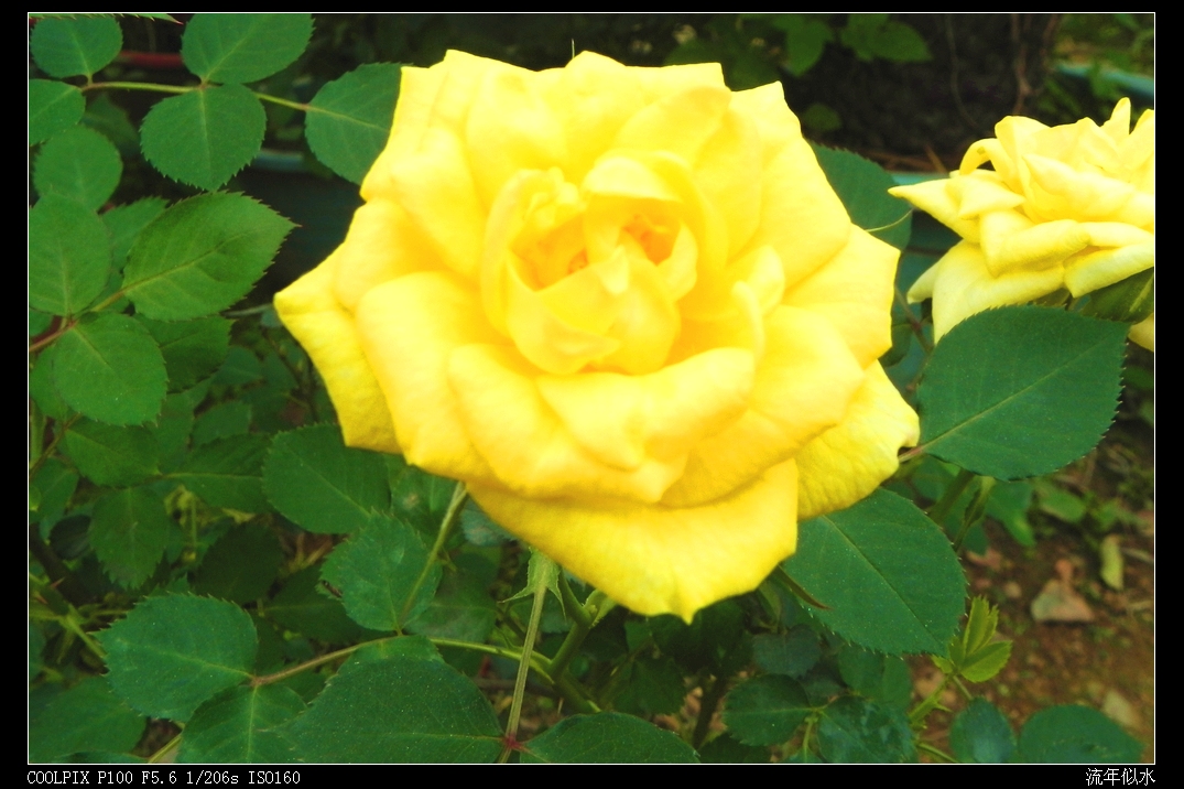 DSCN5380.JPG