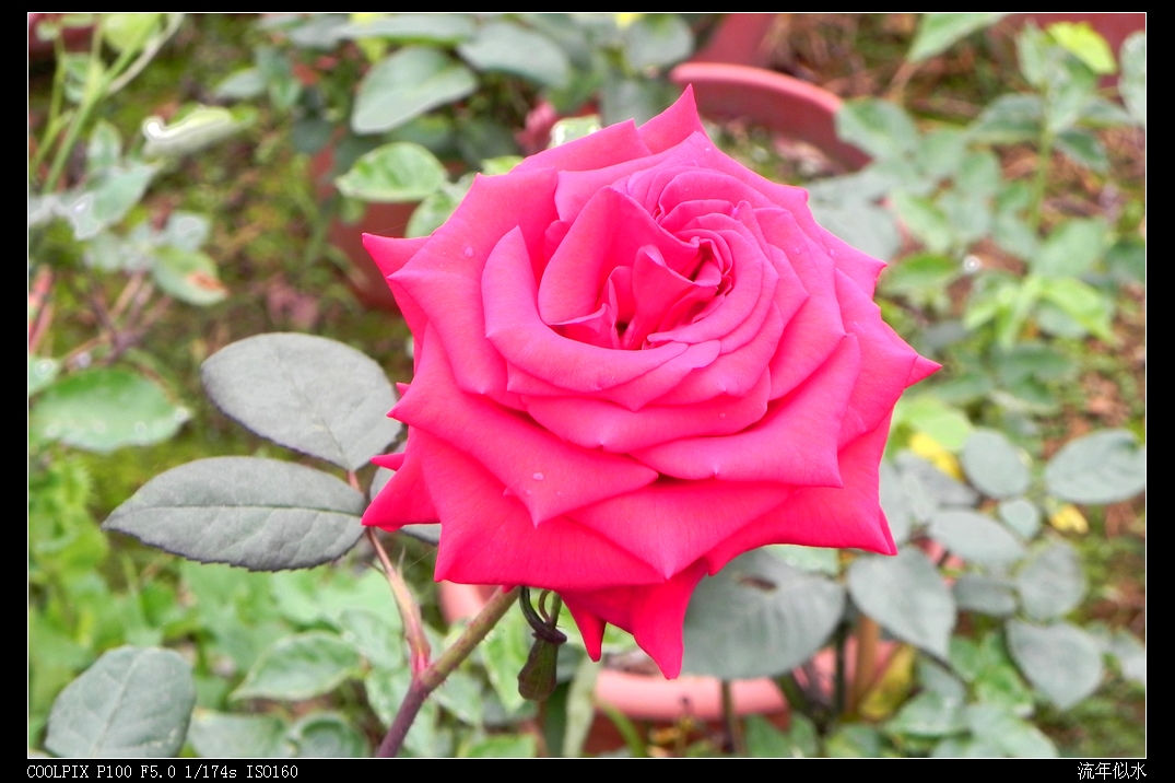 DSCN5413.JPG