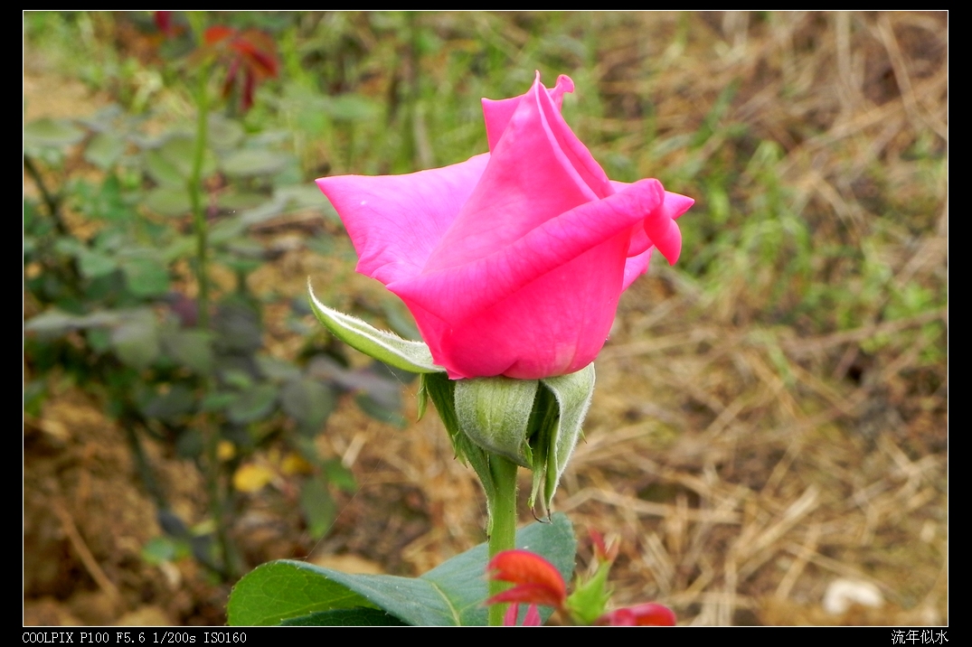 DSCN5422.JPG