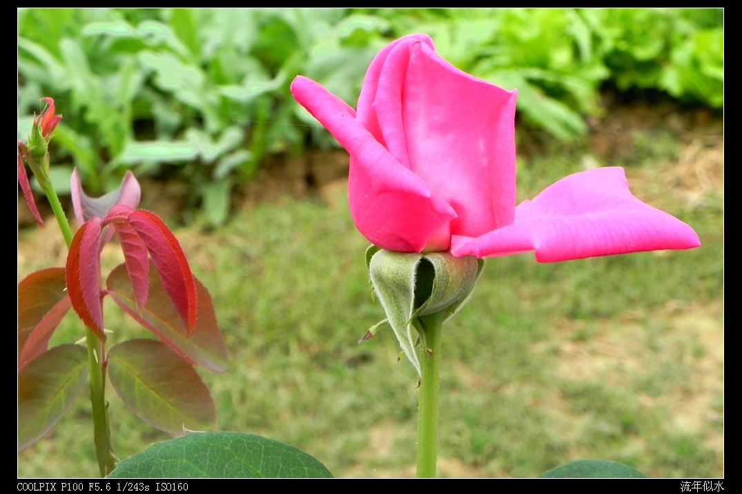 DSCN5423.JPG