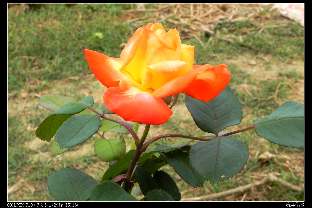 DSCN5427.JPG