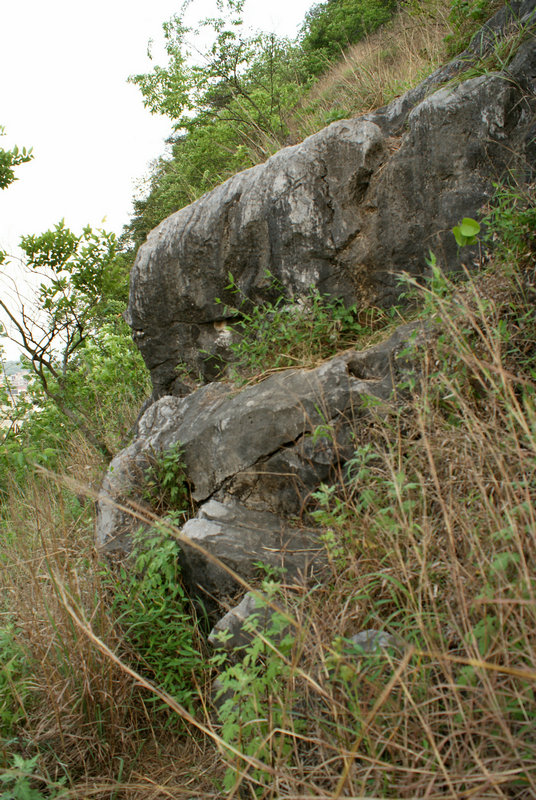 DSC05974.jpg