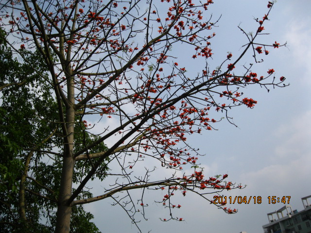 IMG_0023.JPG