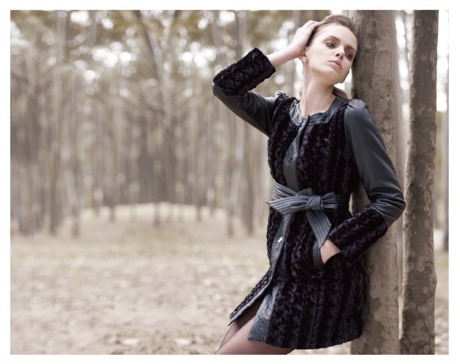 AVIVI AW 11-22-2.jpg