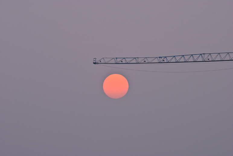 DSC_0072x.jpg