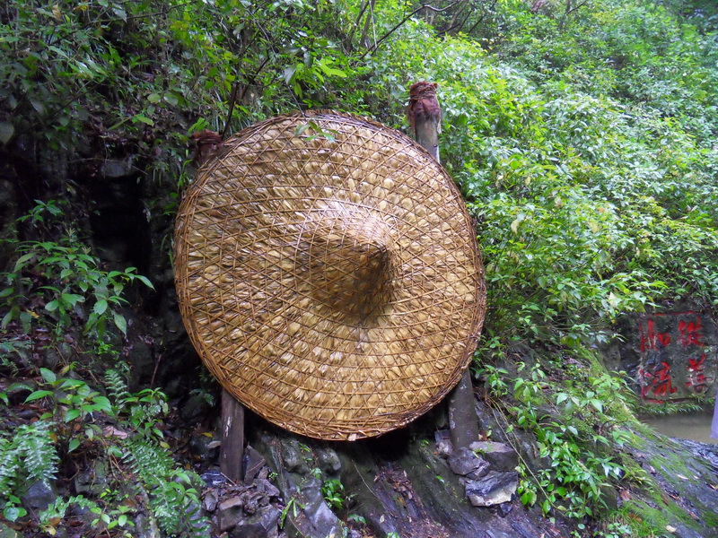 SDC11454.jpg