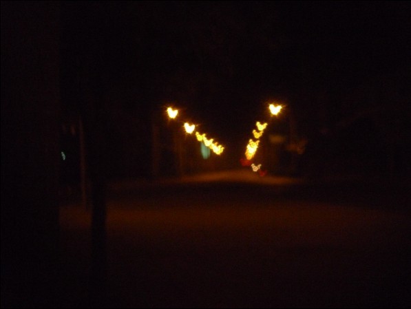 58.jpg