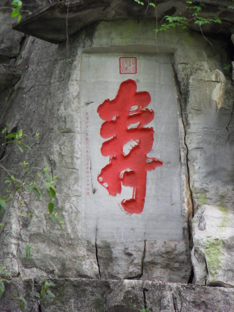 SDC11060.jpg
