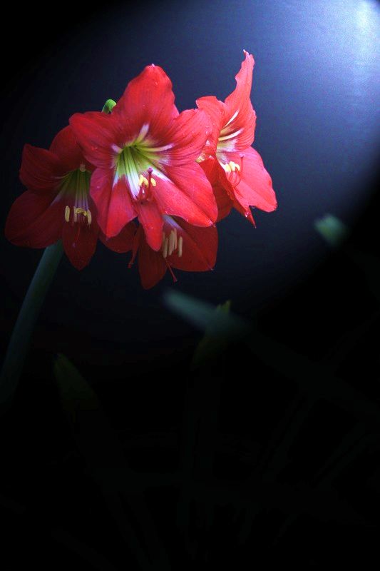 a9538604_s.jpg