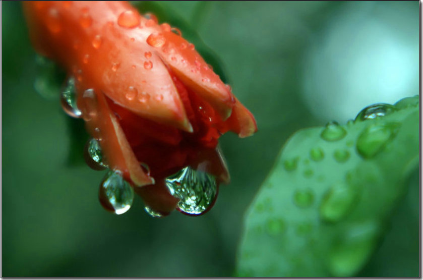 DSC06565_副本.jpg