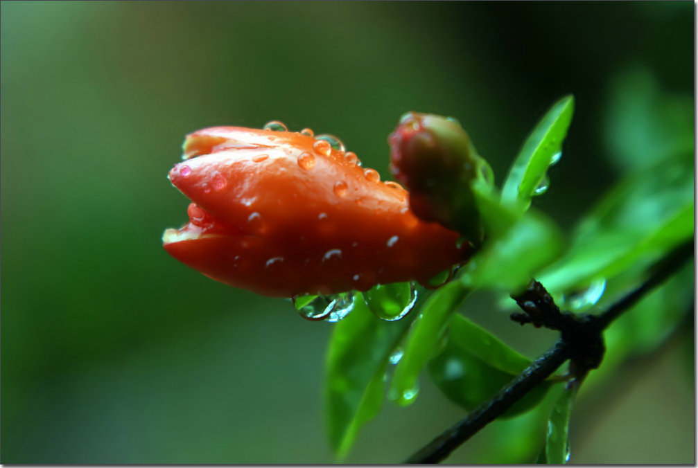 DSC06568_副本.jpg