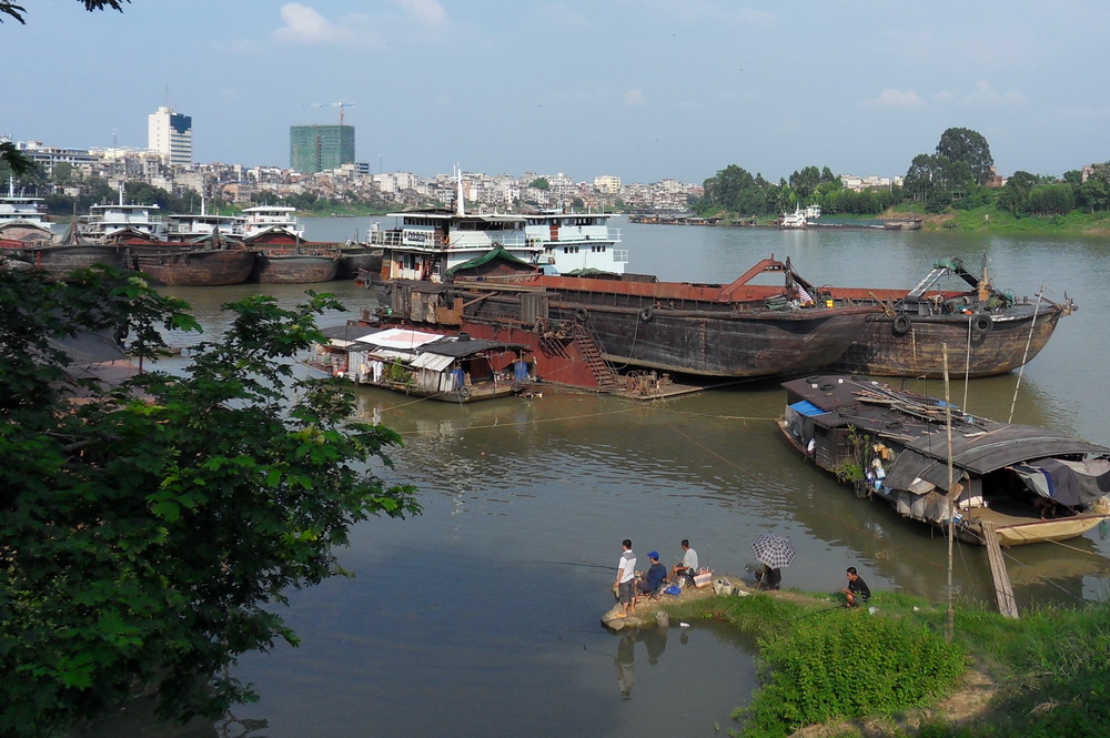 SDC17330.jpg