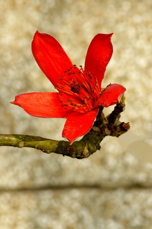 a9554019_s.jpg