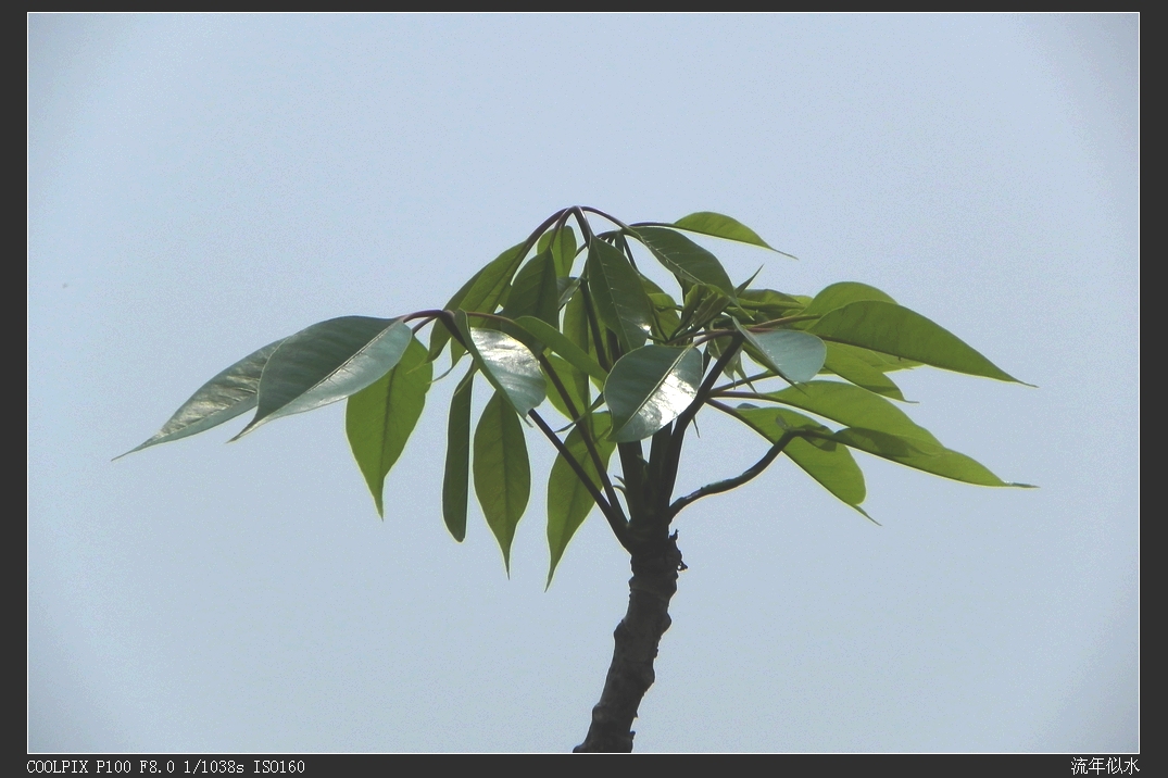 DSCN5895.JPG