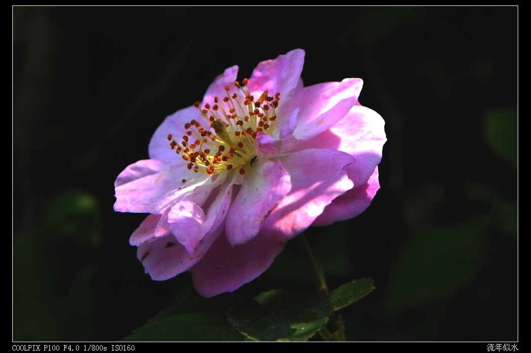 DSCN5943.JPG