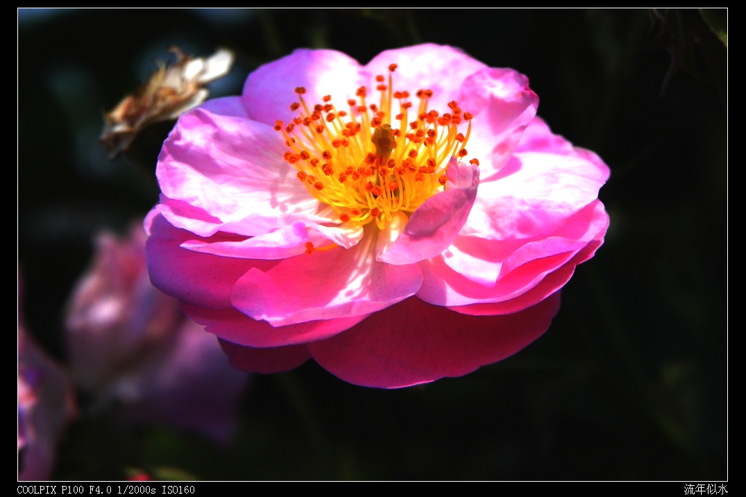 DSCN5945.JPG