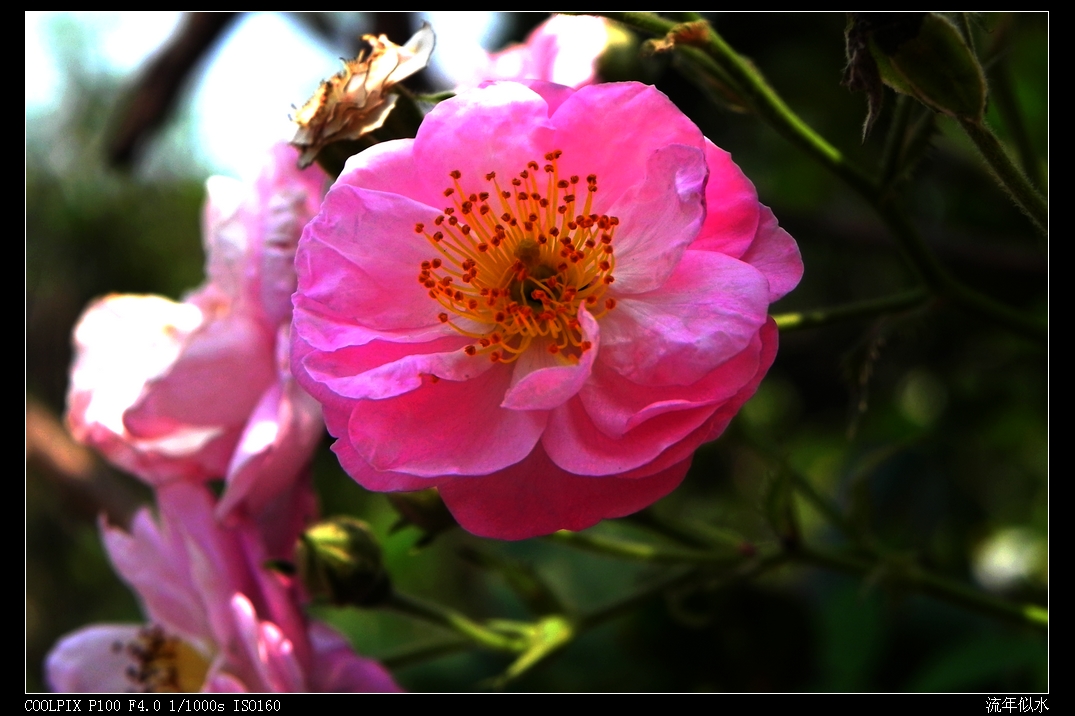 DSCN5948.JPG