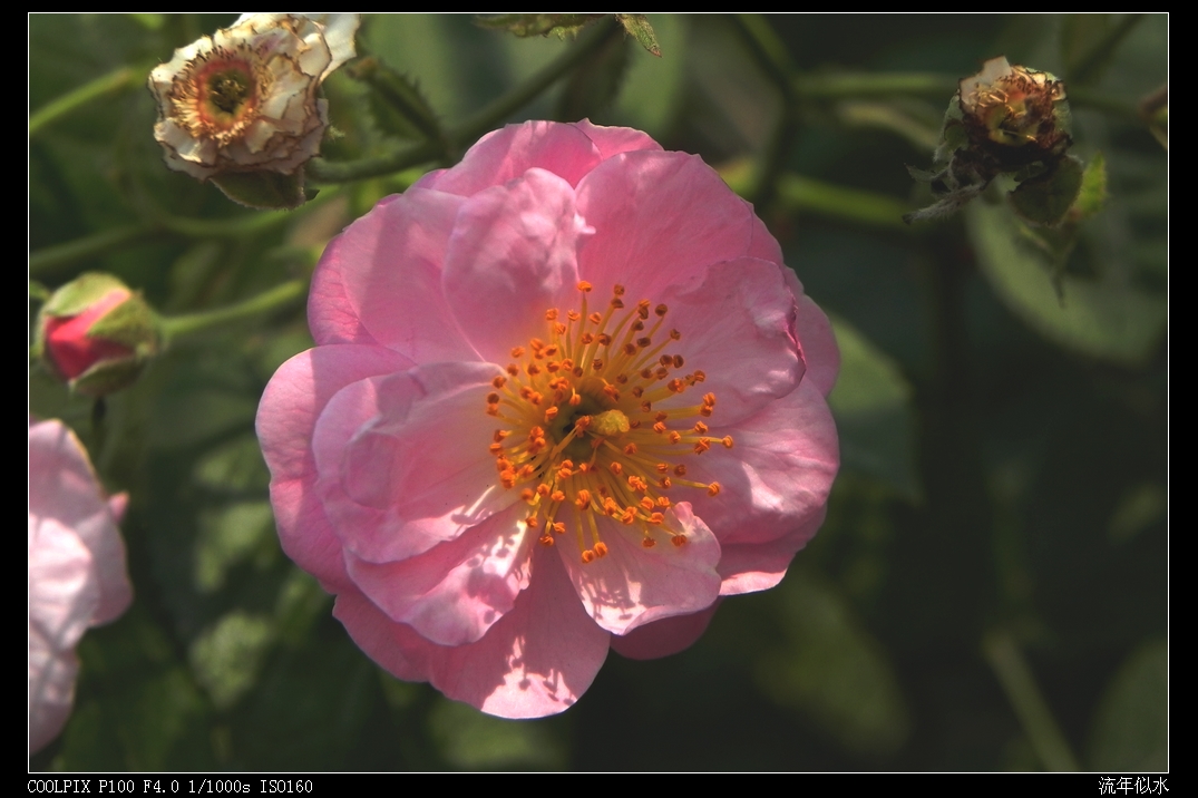 DSCN5958.JPG