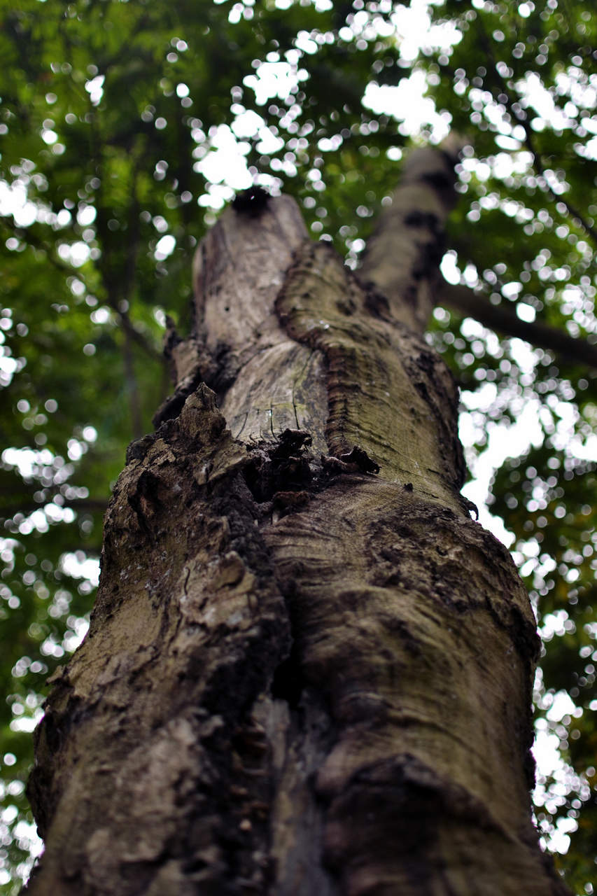 DSC_0017.jpg